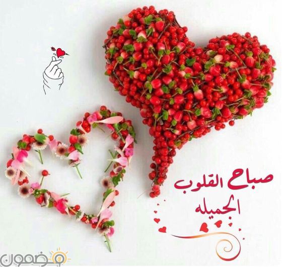 صباح الورد 8