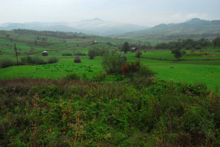 12. مارامورس (باي ماري)