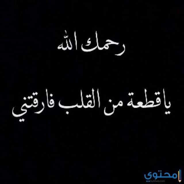صور حداد9