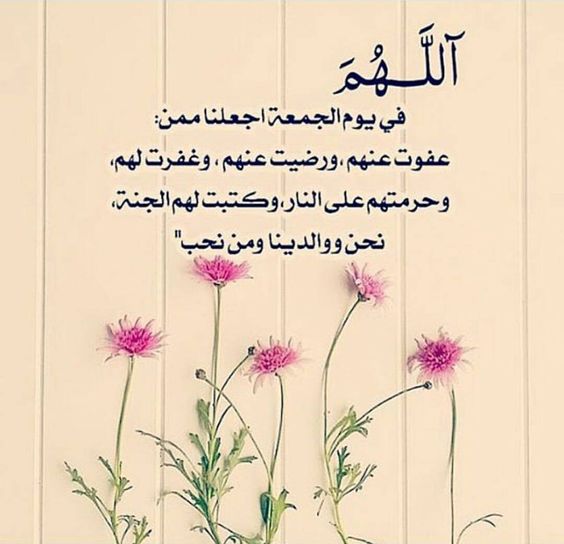 صور يوم الجمعة9
