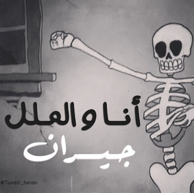 حكم وامثال مصورة مضحكة 9