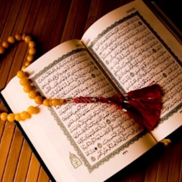 صور القرآن9
