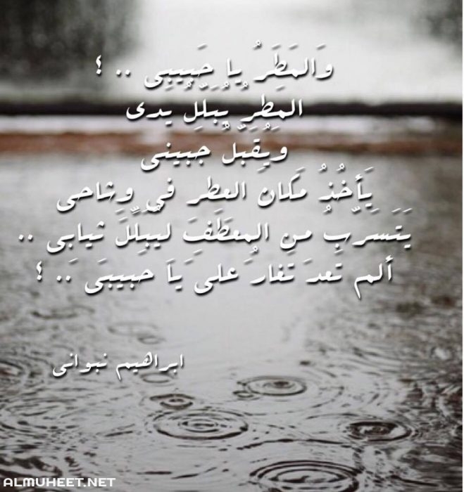 خلفيات عن البرد مكتوب عليها 4