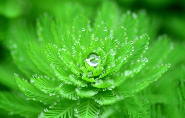 اروع صور خلفيات 2020 9