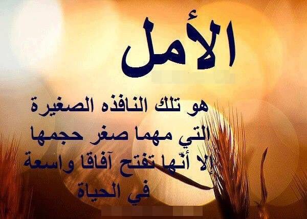 كلام جميل ومعبر مع الصور 9