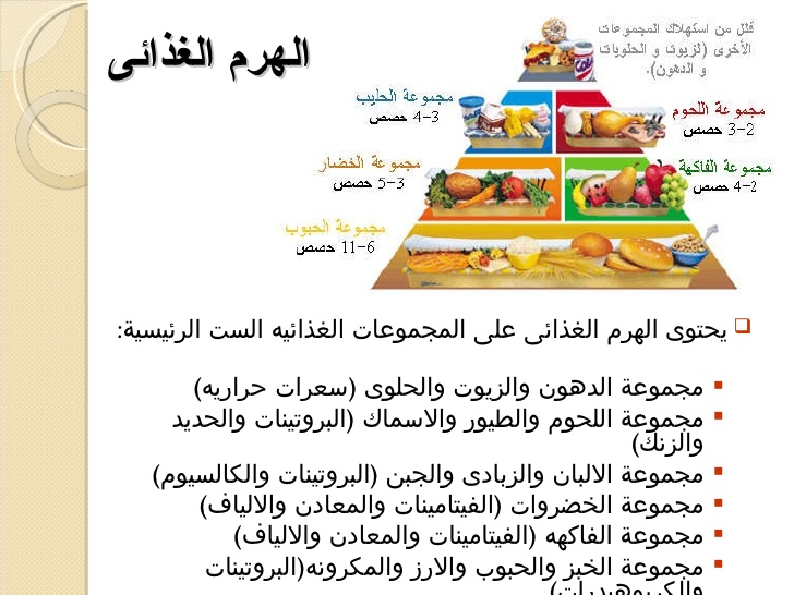 مطويات عن برنامج صحتي في غذائي 9