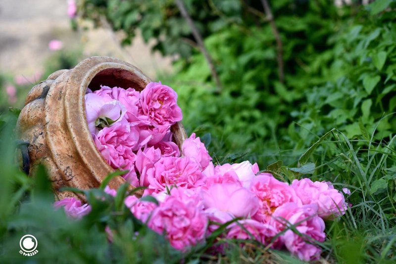 صور احترافيه 9