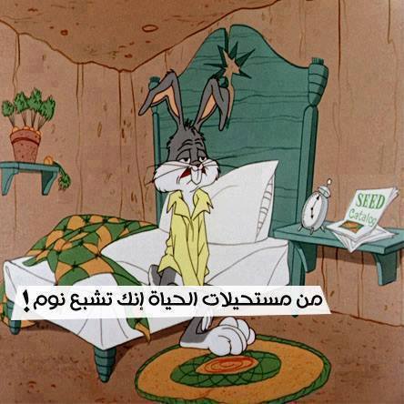صور مضحكة مكتوب عليها9