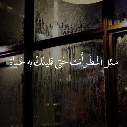 صور للحب- تحميل اجمل الصور المعبرة عن الحب4