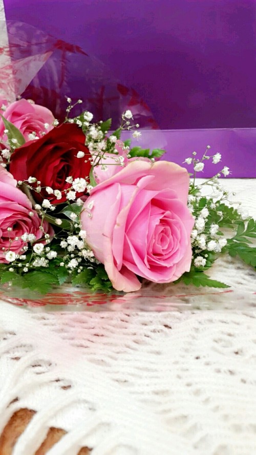ورود طبيعية خلابة4