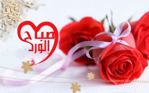 صباح الورد 9