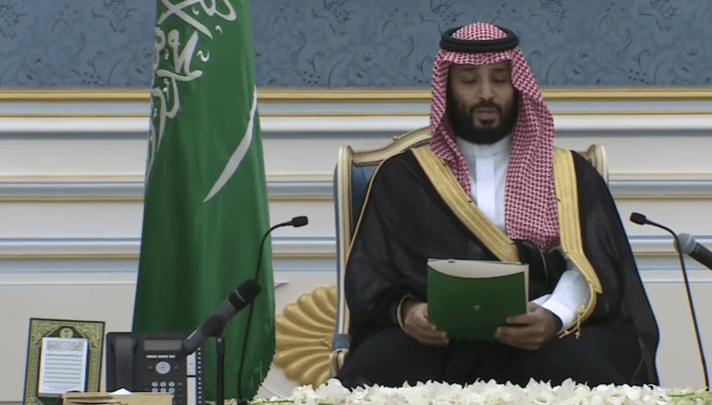 صور محمد بن سلمان ولي العهد السعودي 9