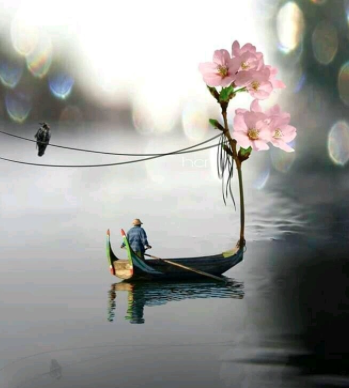 صور جميلة جديدة 2020