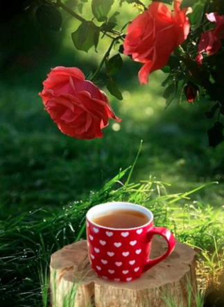 صور جميلة جديدة 2020