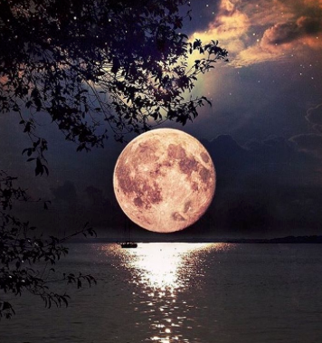 صورجميلة جديدة 2020 6