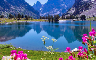 صور جميلة للطبيعة4