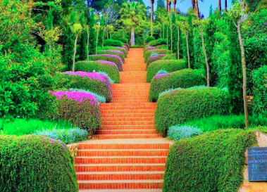 صور جميلة للطبيعة6