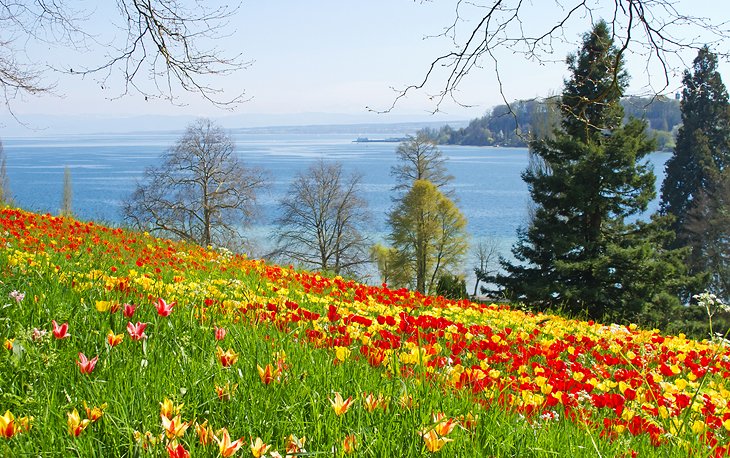 14. Insel Mainau: جزيرة الزهور لبحيرة كونستانس