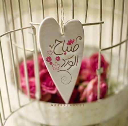 صور فايسبوك 2019 1