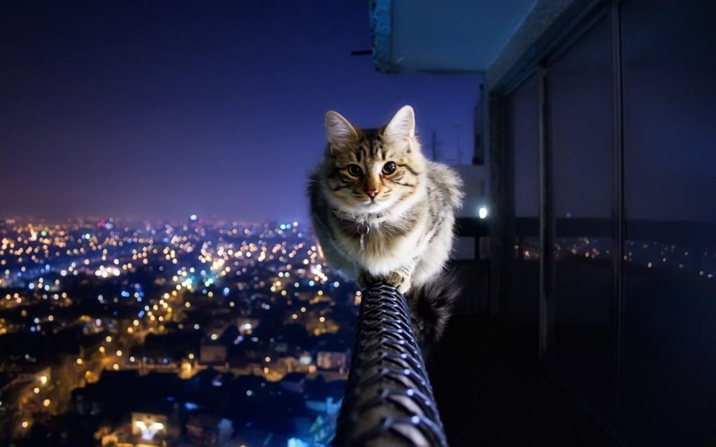 صور 3d 1