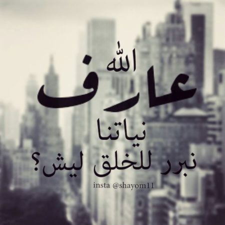 صور فايسبوك 2019 3