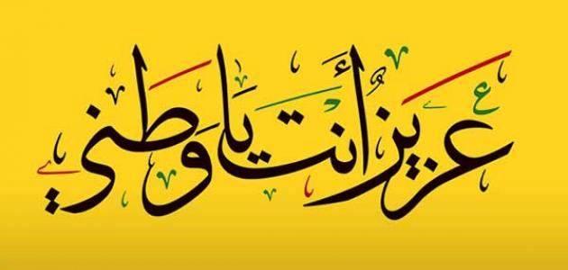 عبارات عن الوطن 6