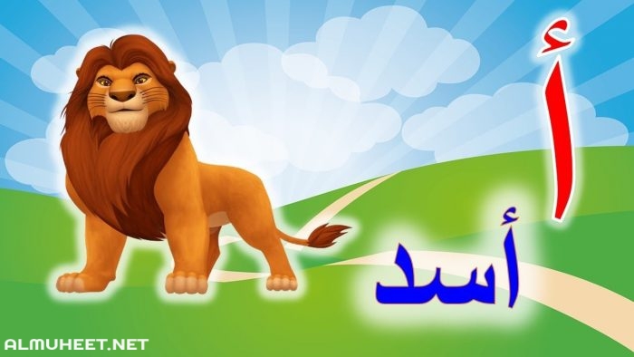 الحروف الهجائية بالصور 7