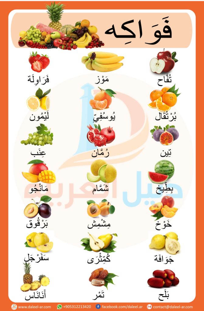 أشكال الخضروات للاطفال 1