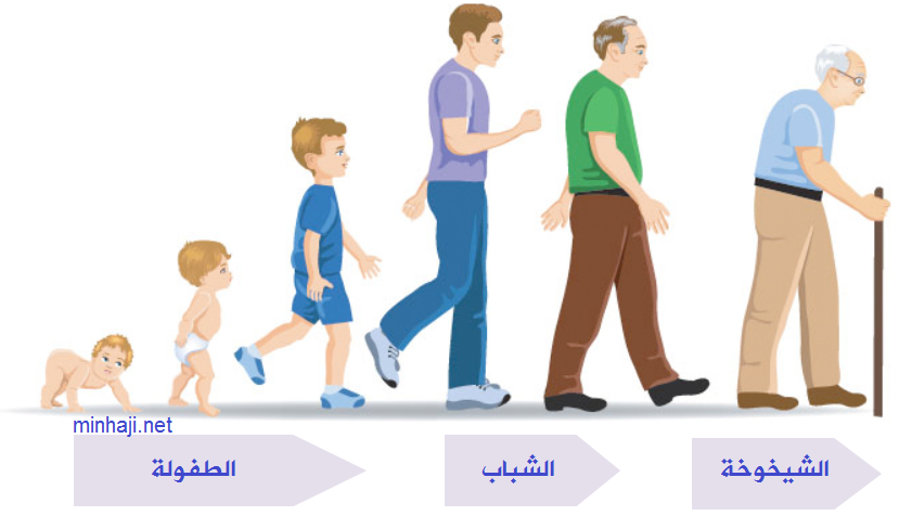 اسماء مراحل نمو الإنسان 1