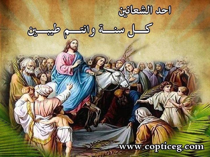 صور احد الشعانين 1