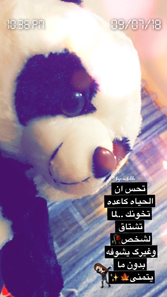 عبارات عن الباندا 2