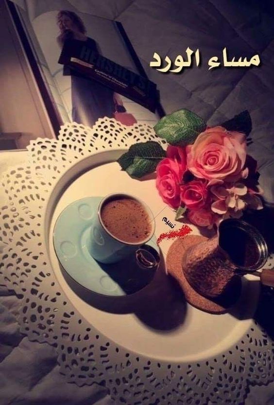 خلفيات مساء الخير 1