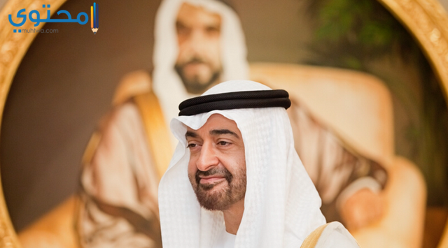 رقم الشيخ محمد بن زايد 1