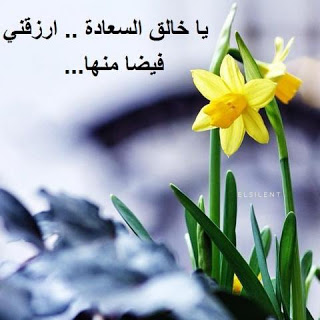 اجمل الصور المعبرة 1