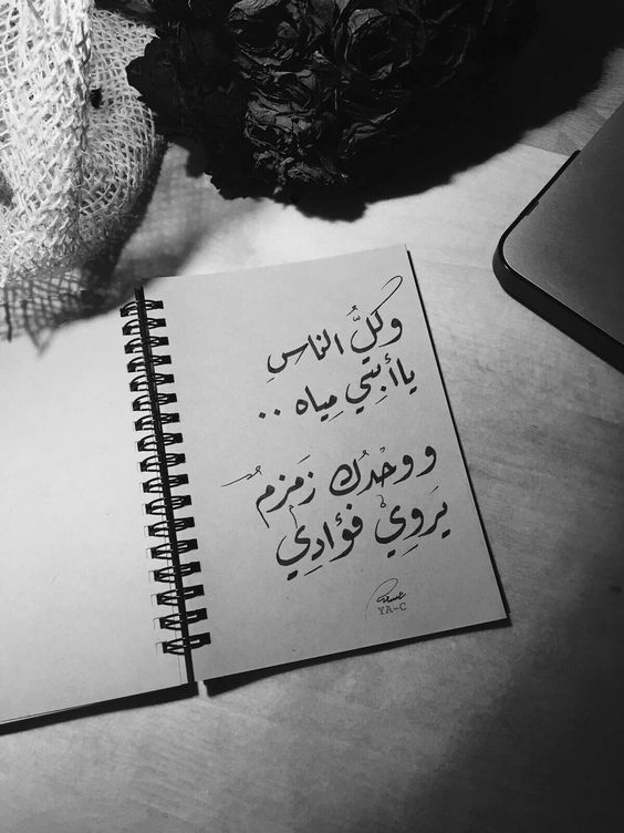 عبارات جميلة مزخرفة