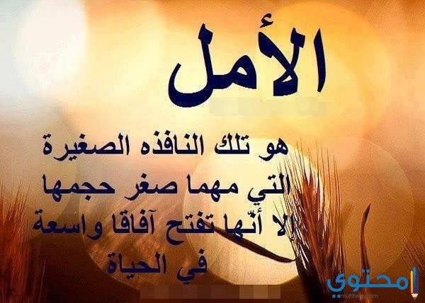 كلمات جميلة جدا ومعبرة