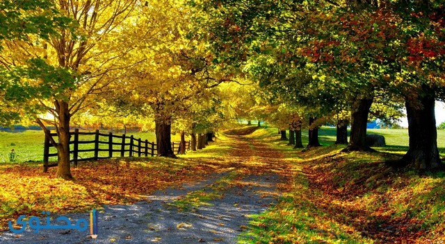 صور طبيعيه1