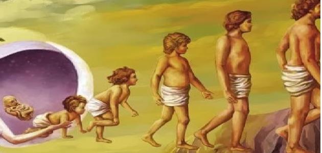 مراحل نمو الإنسان من الإخصاب إلى الموت 1