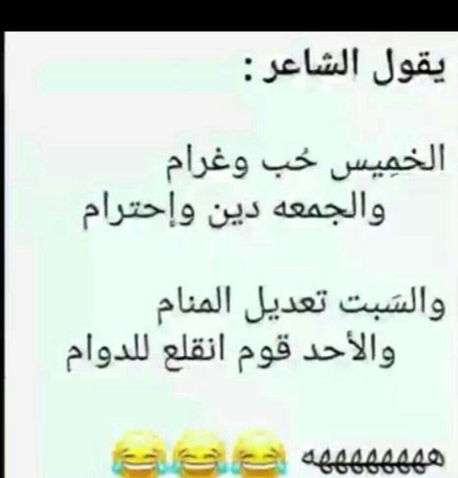 نكت عن النمل تموت ضحك- نكت تموت ضحك