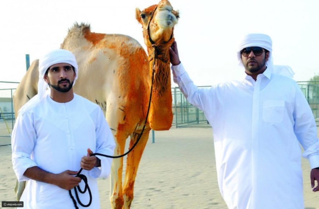صور فزاع 10