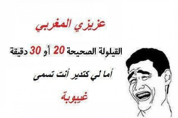 نكت محششين 2019 مصرية