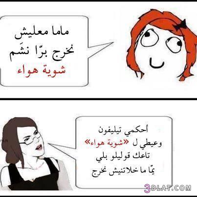 نكت جزائرية مضحكة 2019