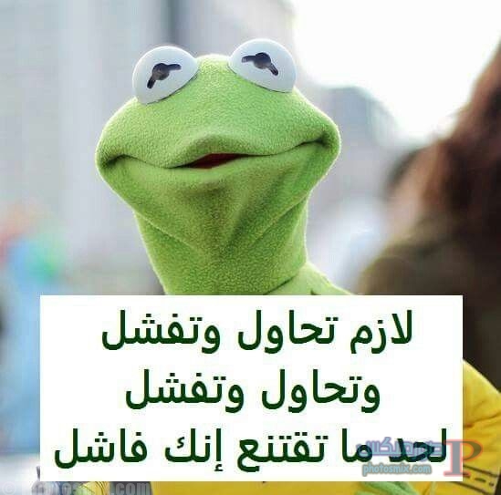 اجمل الصور المضحكة جدا1