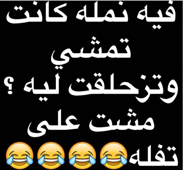 نكت نمل 201