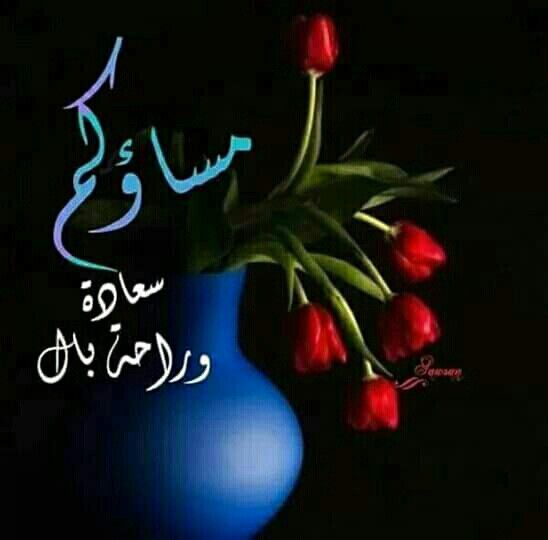 اجمل الصور مساء الخير فيس بوك1