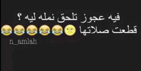 نكت نمله تويتر