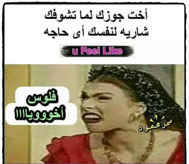 اجمل الصور المضحكة جدا2