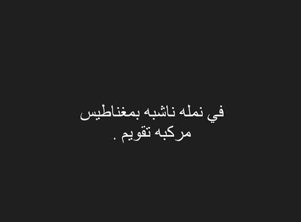 نكت نمل 2019