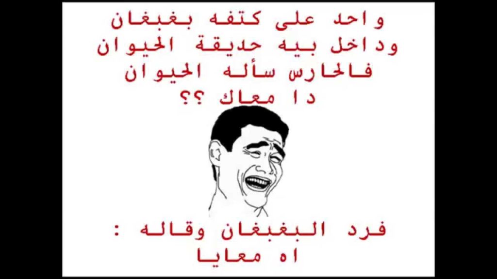 نكت تموت ضحك