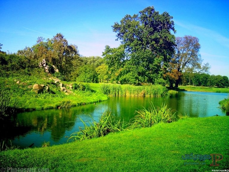 خلفيات طبيعية ساحرة2